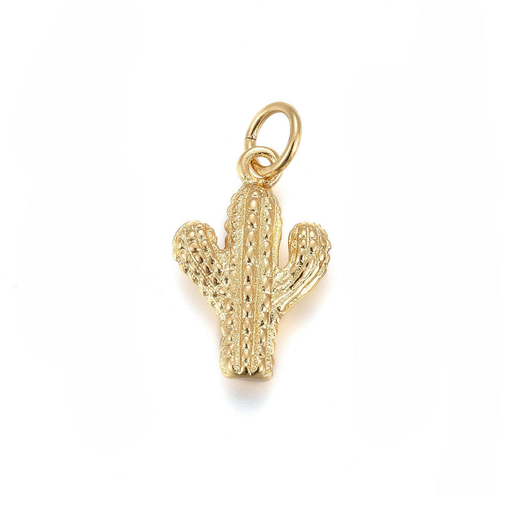 Cactus Charm