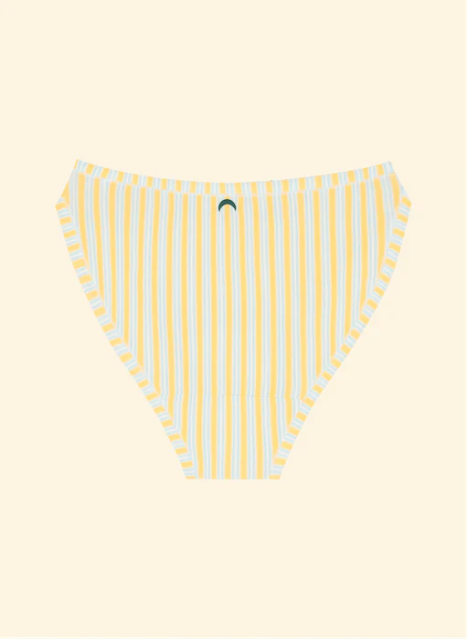 Huha Mineral Undies - High Rise Bikini
