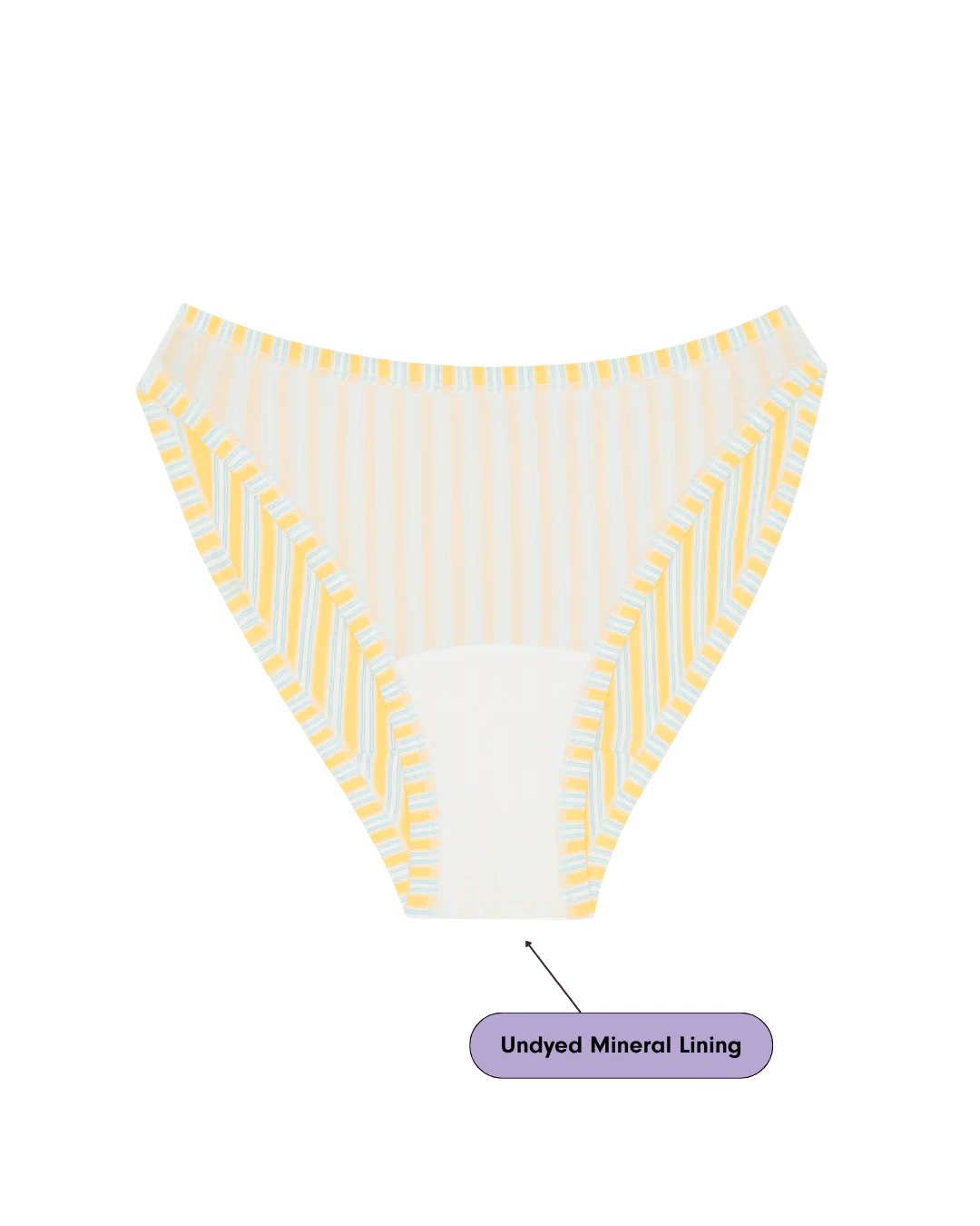 Huha Mineral Undies - High Rise Bikini